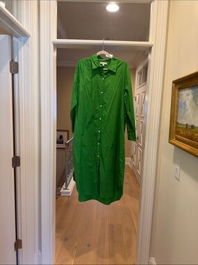 Banana Republic Green Button-Down Shirt Dress